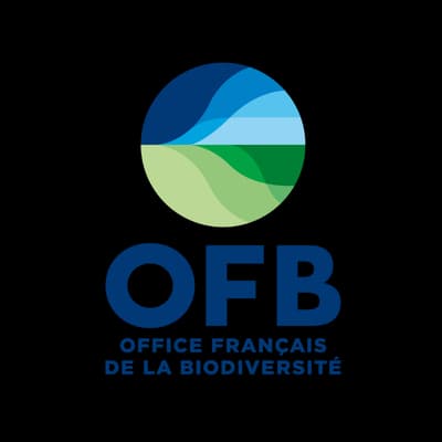 OFB